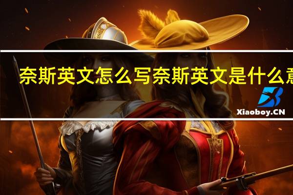 奈斯英文怎么写 奈斯英文是什么意思（奈斯英文）