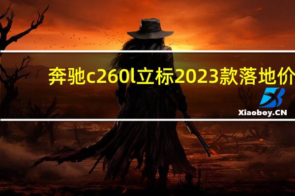 奔驰c260l立标2023款落地价