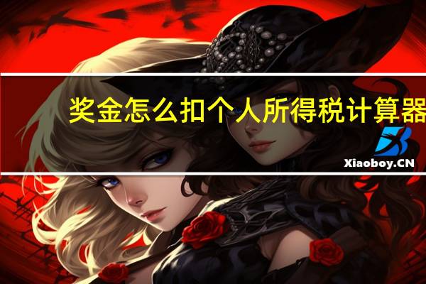 奖金怎么扣个人所得税计算器（奖金怎么扣个人所得税）