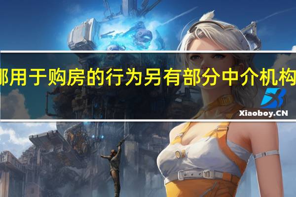 套取经营性贷款并挪用于购房的行为另有部分中介机构和个人存在提供过桥资金