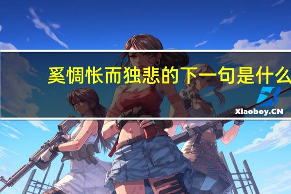 奚惆怅而独悲的下一句是什么