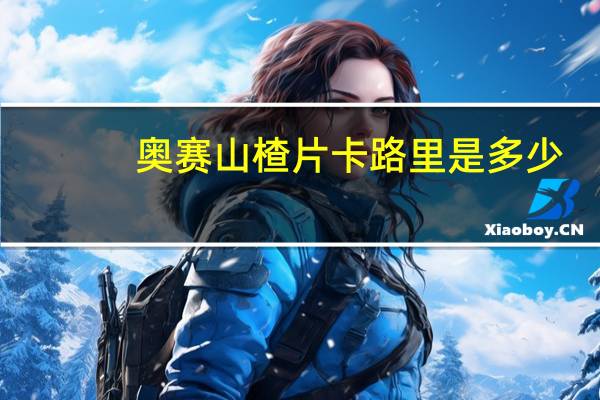 奥赛 山楂片卡路里是多少