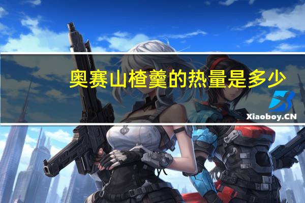 奥赛 山楂羹的热量是多少