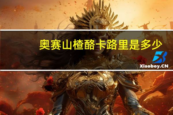 奥赛 山楂酪卡路里是多少