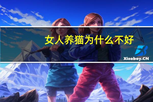 女人养猫为什么不好