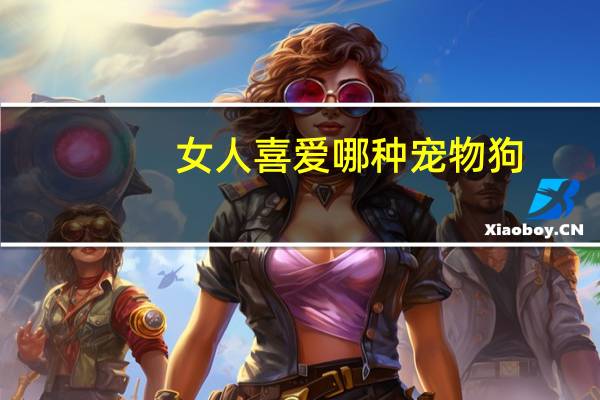 女人喜爱哪种宠物狗