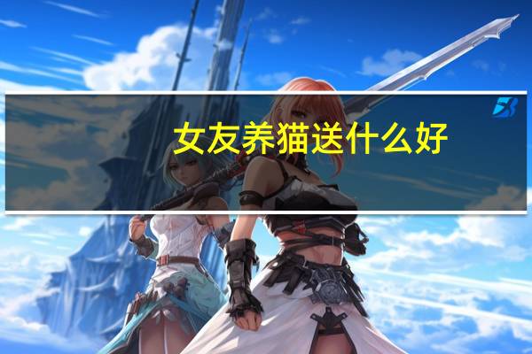 女友养猫送什么好