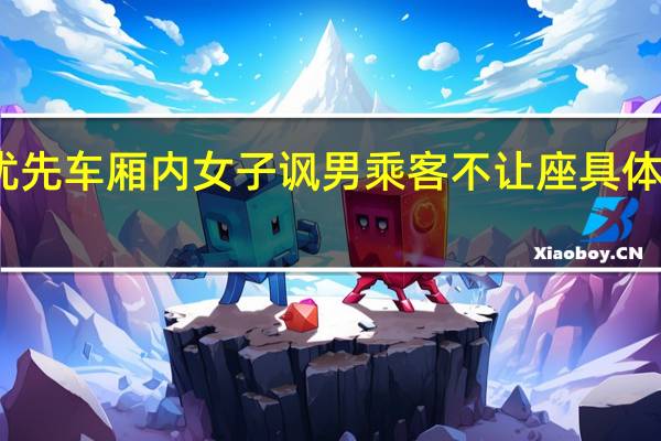 女士优先车厢内女子讽男乘客不让座 具体是什么情况？