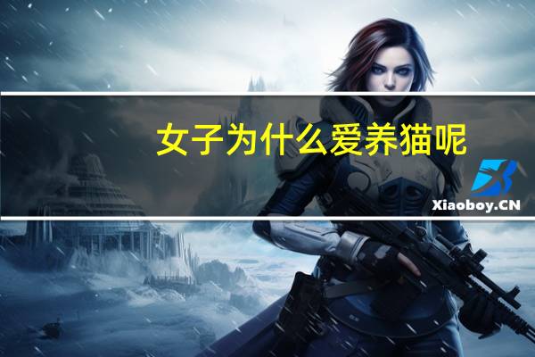 女子为什么爱养猫呢
