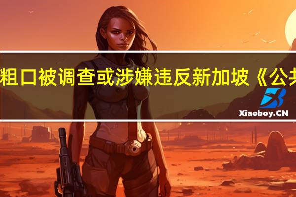 女子在新加坡对护士爆粗口被调查或涉嫌违反新加坡《公共秩序法令》 到底什么情况呢