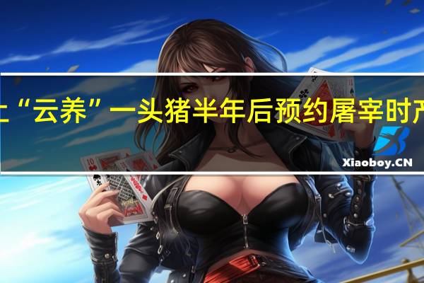 女子花8000元网上“云养”一头猪半年后预约屠宰时产生纠纷 到底什么情况呢