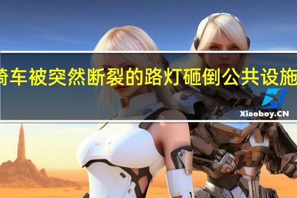 女子骑车被突然断裂的路灯砸倒 公共设施安全引担忧