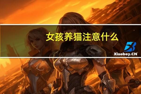 女孩养猫注意什么