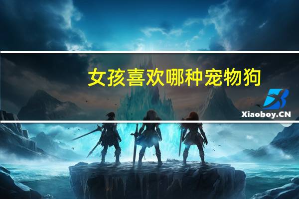 女孩喜欢哪种宠物狗
