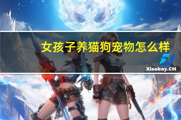 女孩子养猫狗宠物怎么样