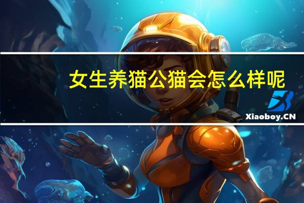 女生养猫公猫会怎么样呢
