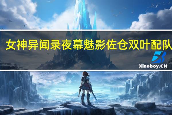 女神异闻录夜幕魅影佐仓双叶配队攻略