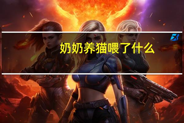 奶奶养猫喂了什么