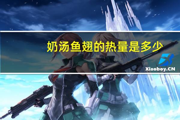 奶汤鱼翅的热量是多少？