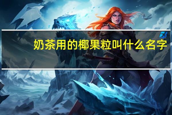 奶茶用的椰果粒叫什么名字