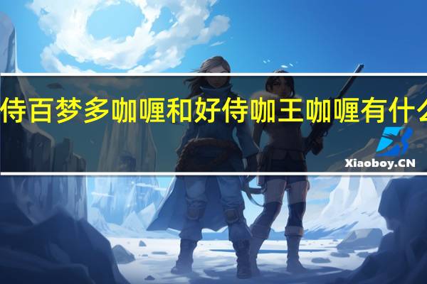好侍百梦多咖喱和好侍咖王咖喱有什么区别啊