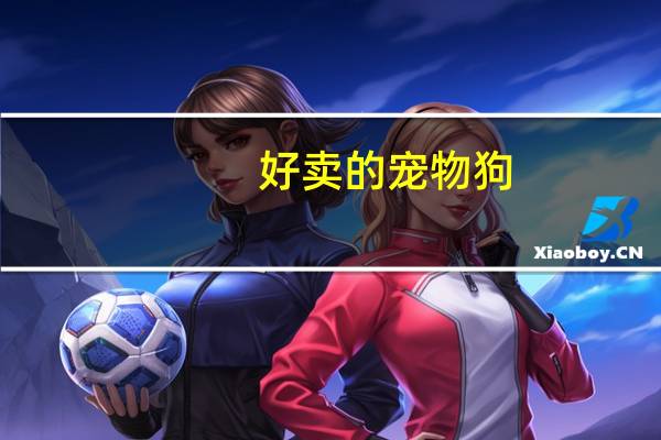 好卖的宠物狗