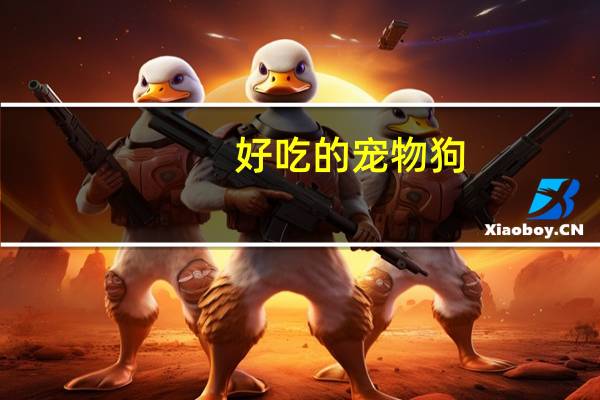 好吃的宠物狗