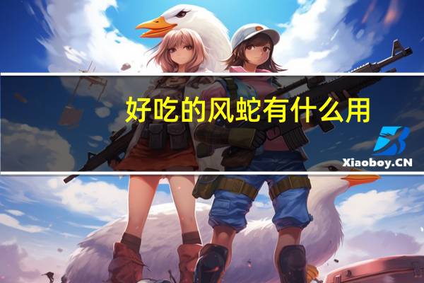 好吃的风蛇有什么用?