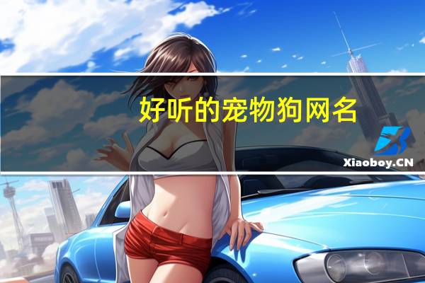 好听的宠物狗网名