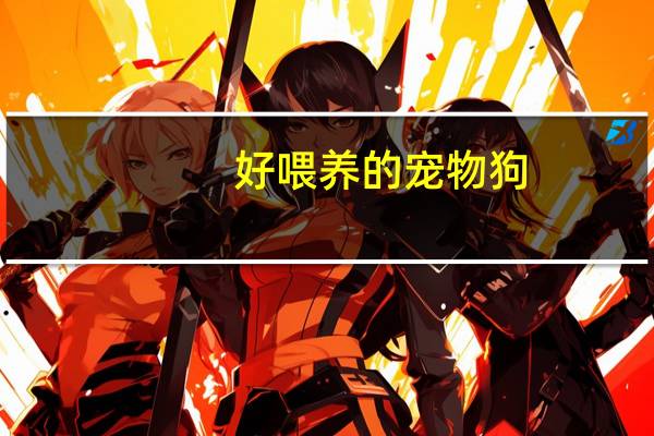 好喂养的宠物狗