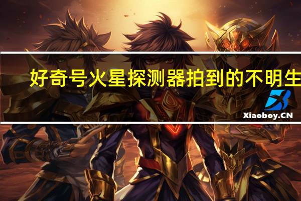 好奇号火星探测器拍到的不明生物（好奇号火星探测器简介）