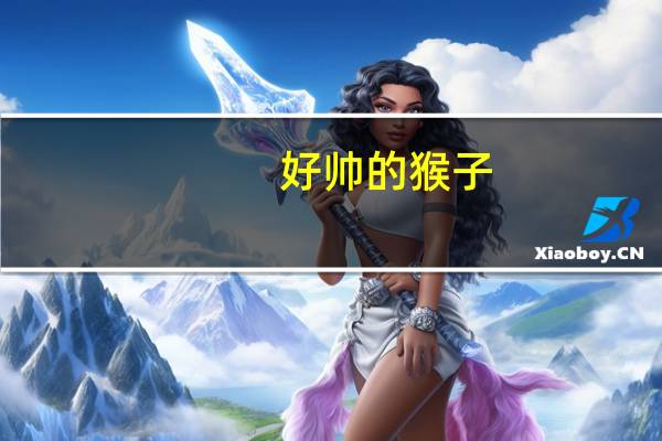 好帅的猴子（帅猴简介）