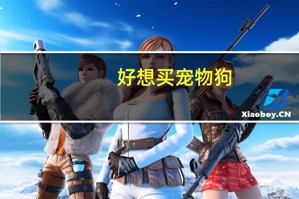 好想买宠物狗