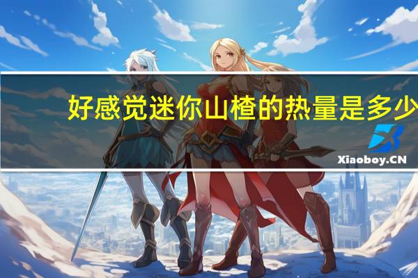 好感觉 迷你山楂的热量是多少
