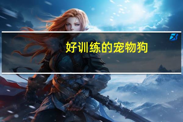 好训练的宠物狗