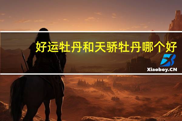 好运牡丹和天骄牡丹哪个好