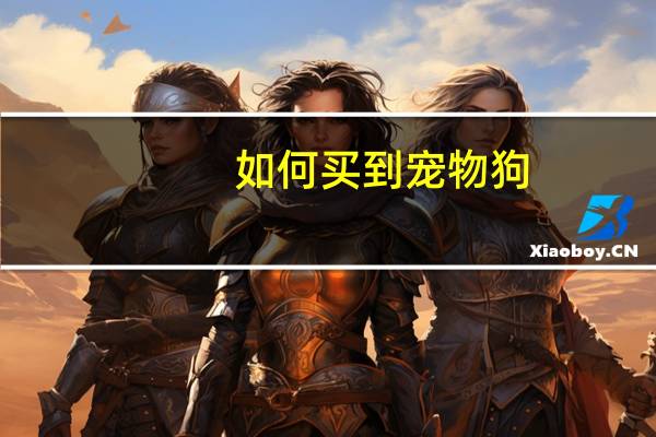 如何买到宠物狗