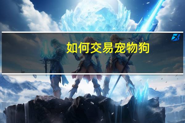 如何交易宠物狗