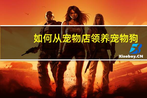 如何从宠物店领养宠物狗
