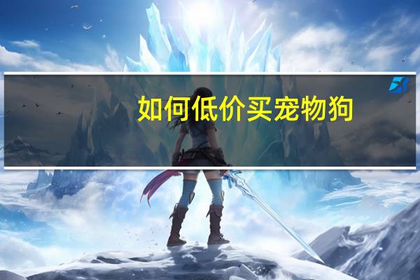 如何低价买宠物狗