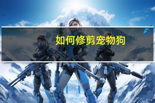 如何修剪宠物狗