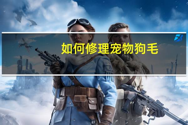 如何修理宠物狗毛