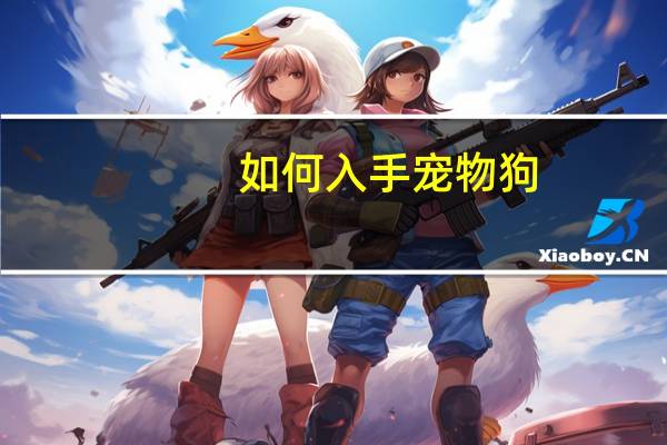 如何入手宠物狗