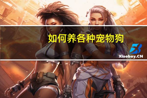 如何养各种宠物狗