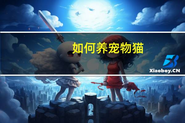如何养宠物猫