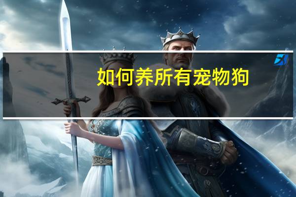 如何养所有宠物狗