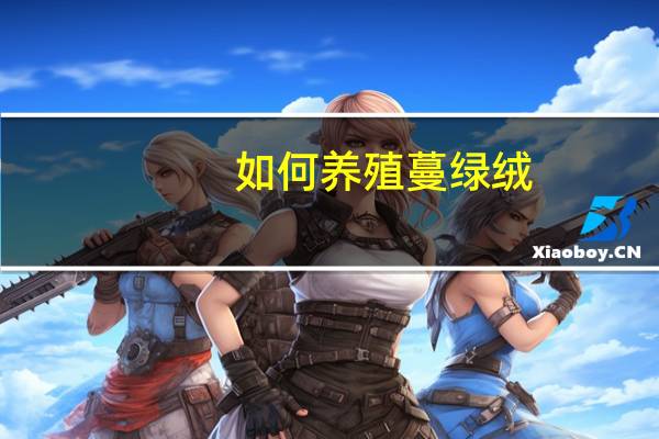 如何养殖蔓绿绒:喜温暖、湿润、半阴的环境