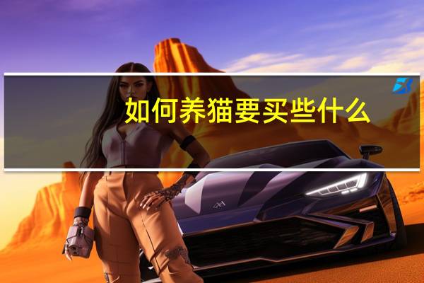 如何养猫要买些什么