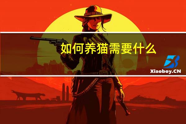如何养猫需要什么