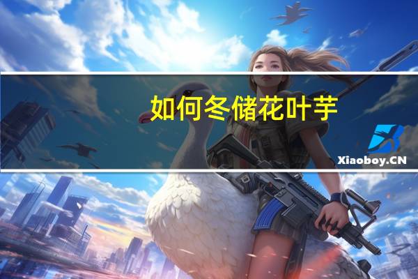 如何冬储花叶芋